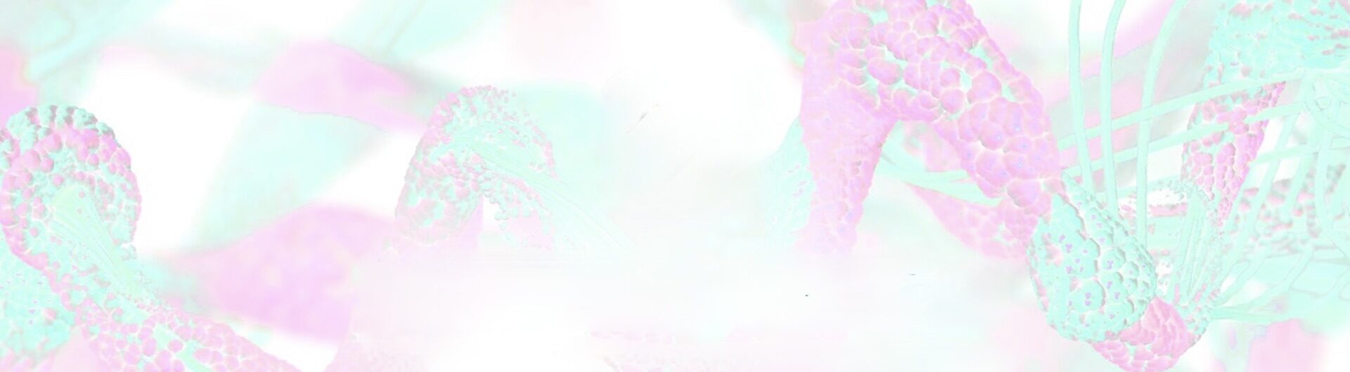 Rosetta Omics, building a mission from the heart